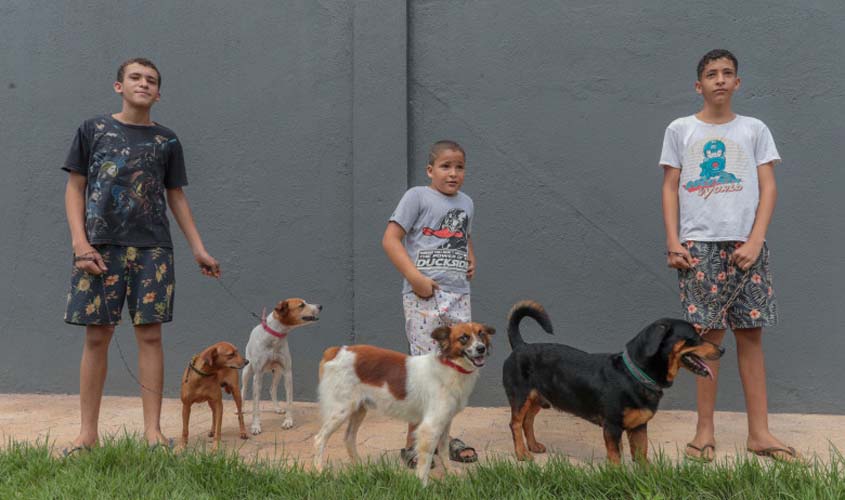 Dia de D de vacinação antirrábica será 30 de setembro