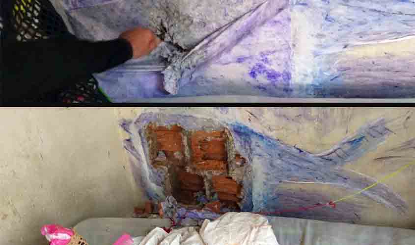 Presas camuflam escavação na parede da cela com desenho de peixe