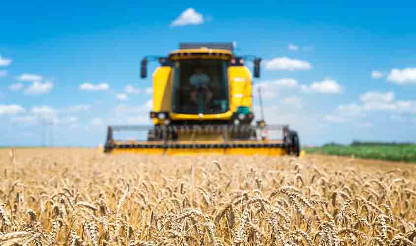 Soja: preço da saca do produto em queda