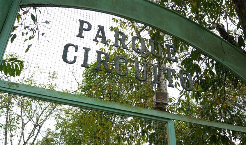 Animais silvestres indicam preservação ambiental