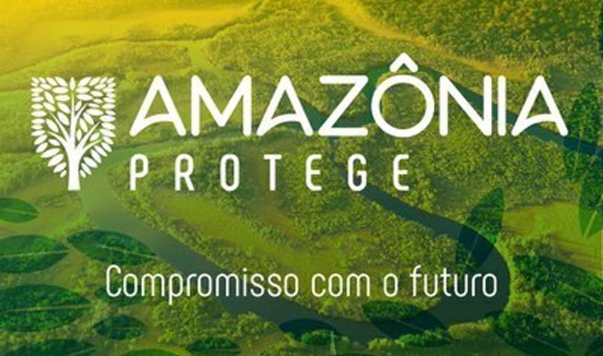 Amazônia Protege: MPF obtém na Justiça mais de R$ 316 milhões em indenização por desmatamentos ilegais