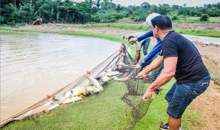 Sedam alerta sobre fim do período do defeso