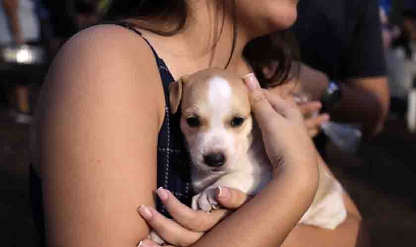 Mais de 90 animais ganham lar durante a segunda feira de adoção de cães e gatos de Porto Velho