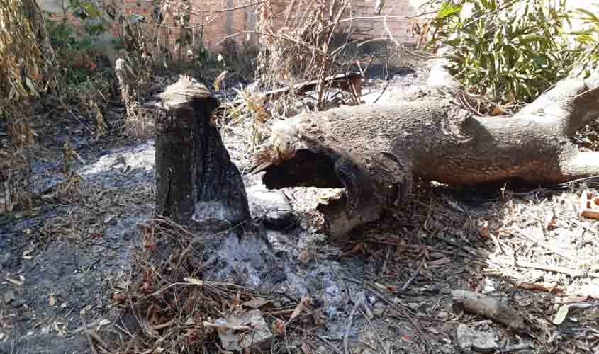 Campanha de combate às queimadas é lançada em Porto Velho