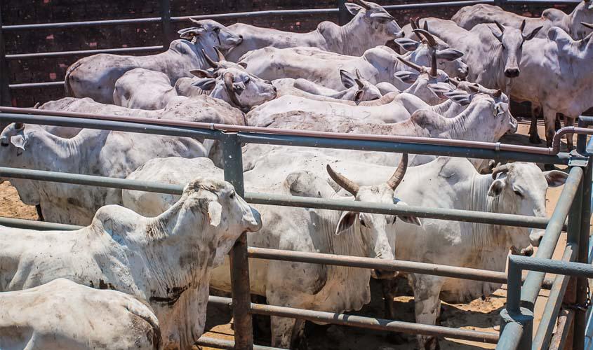 Conselho Estadual de Desenvolvimento Econômico aprova projetos que reforçam geração de empregos