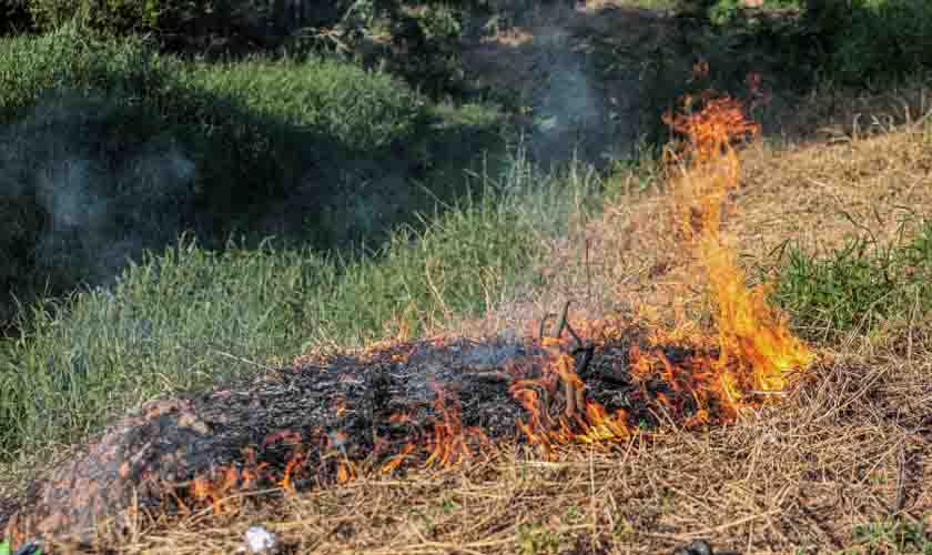 Fiscalização contra queimadas é reforçada em Porto Velho