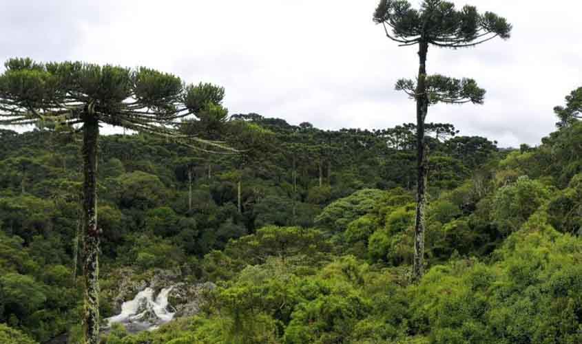 Balanço do semestre: aprovadas novas regras para o licenciamento ambiental