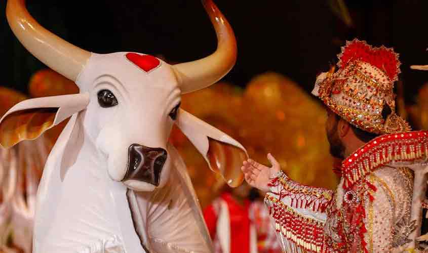 Esportes da Sorte Patrocina Festival de Parintins 2025 e Fortalece Cultura Popular no Norte do Brasil