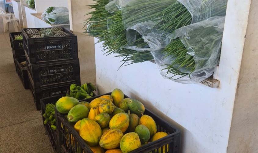 Prefeitura fortalece agricultura familiar e segurança alimentar
