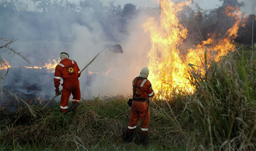 Combate ao desmatamento e queimadas é fortalecido com ações de órgãos controladores