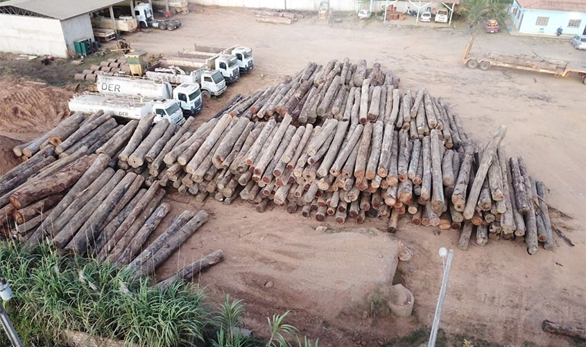Ações de fiscalização, combate a incêndios florestais e extração ilegal de madeira são reforçados em Rondônia