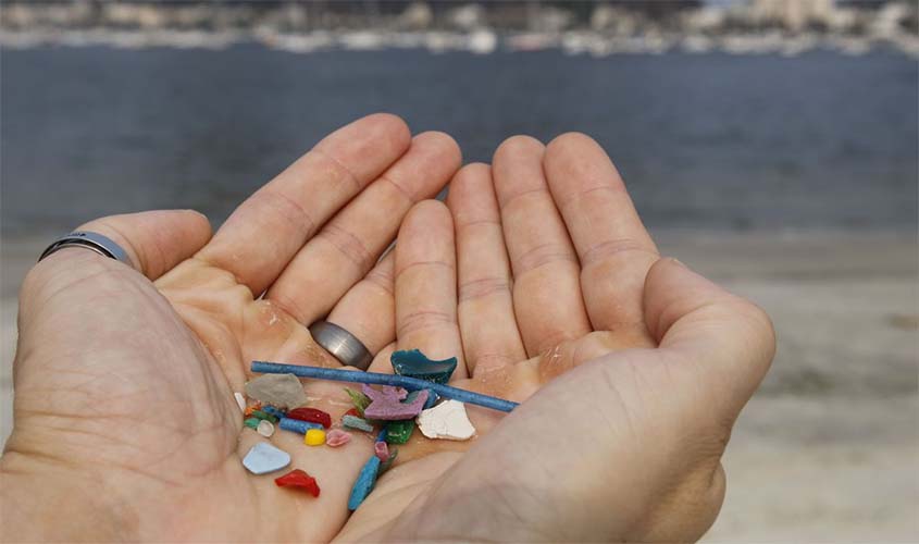 Pesquisas indicam ingestão de microplásticos por humanos