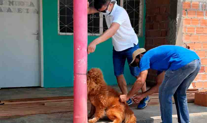Mais de 10 mil animais são vacinados contra a raiva