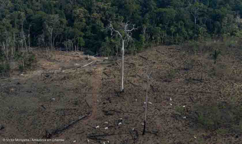 Sobrevoos registram imagens dramáticas da Amazônia e desmentem discurso de Bolsonaro na ONU