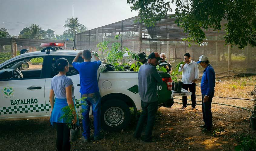 Comarcas do interior aderem à campanha “Adote o futuro”