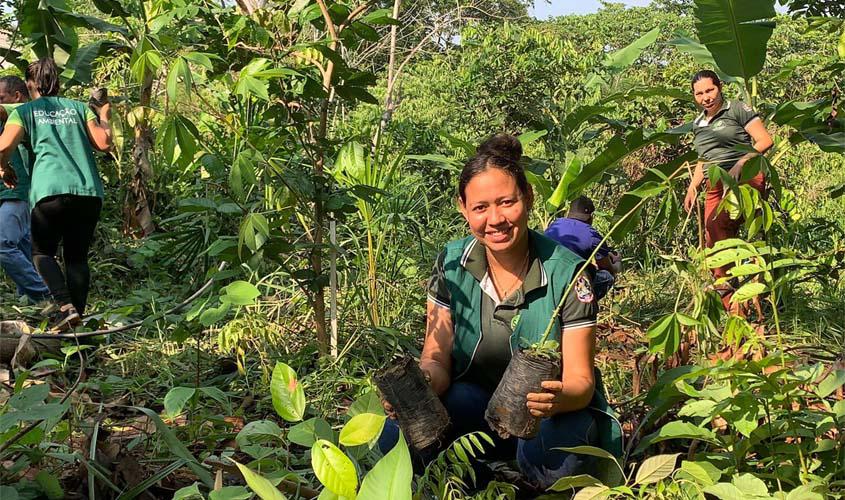 Semeia realiza ação de plantio em alusão ao Dia da Árvore