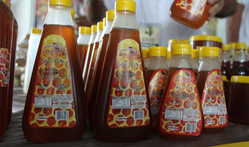 Quase 40% do mel rondoniense foi produzido em Vilhena