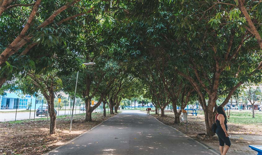 Prefeitura de Porto Velho celebra o Dia da Árvore