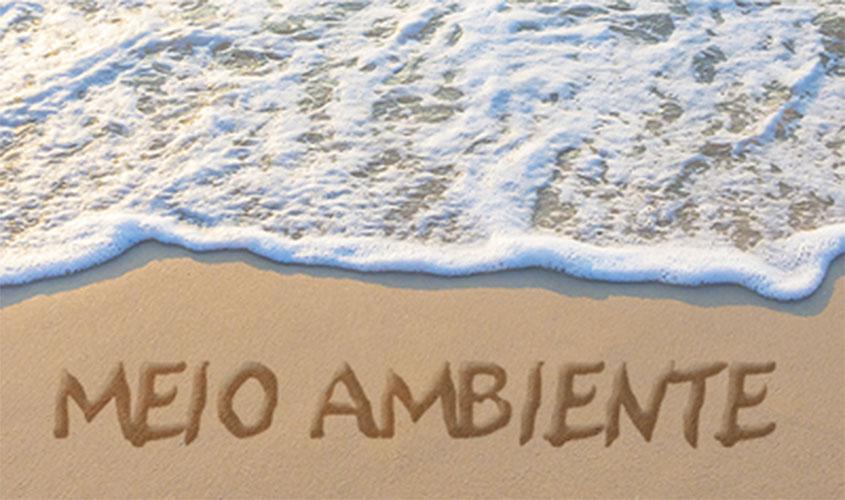 MPF consegue decisão judicial que determina à União e ao Ibama contenção e recolhimento do óleo que atinge praias de PE