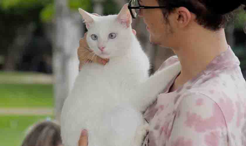 Vacinação antirrábica imuniza quase 20 mil animais na cidade e garante proteção de pets e humanos