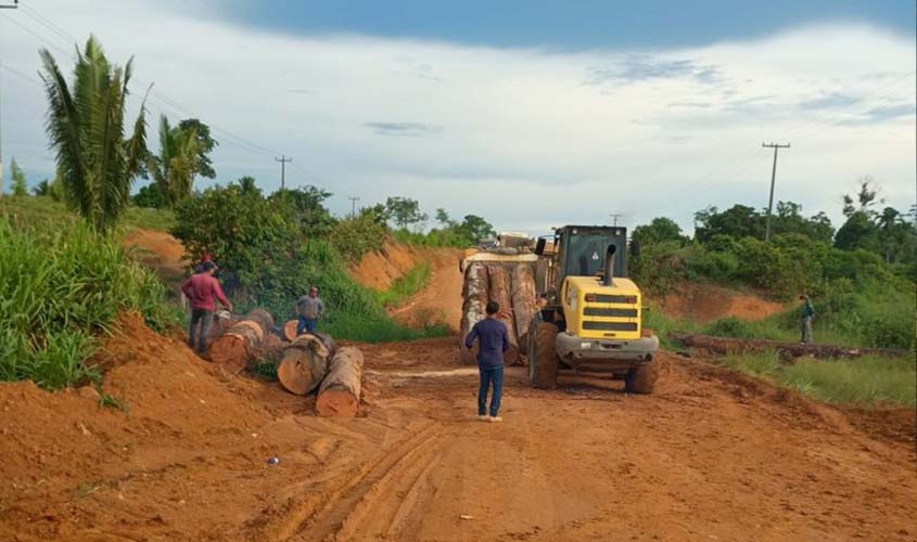 Governo doa madeira apreendida a prefeitura