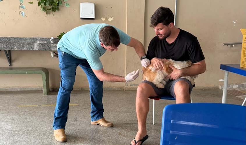 Porto Velho vacina 7.918 cães e gatos contra a raiva