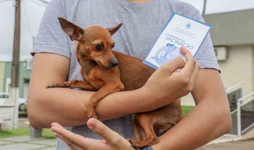 Nova Mutum recebe serviço de vacinação antirrábica nesta quinta-feira (21)