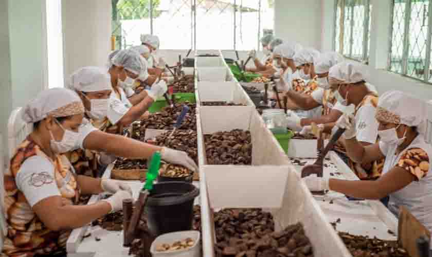 Funai fornece apoio logístico para escoamento da produção indígena de castanha em Rondônia