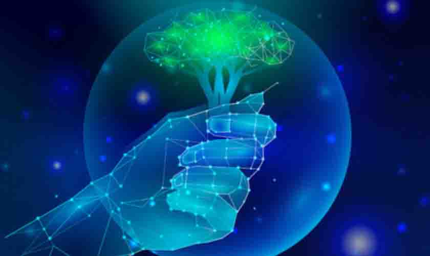 Consultoria vai usar inteligência artificial em processos judiciais sobre meio ambiente