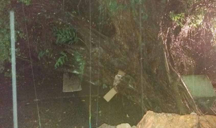 Sema recolhe árvores que caíram durante o temporal desta segunda-feira em Porto Velho