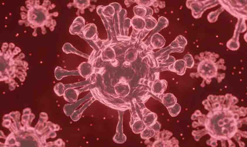 SUSPEITA DE COVID-19: Telemedicina é alternativa a hospitais lotados