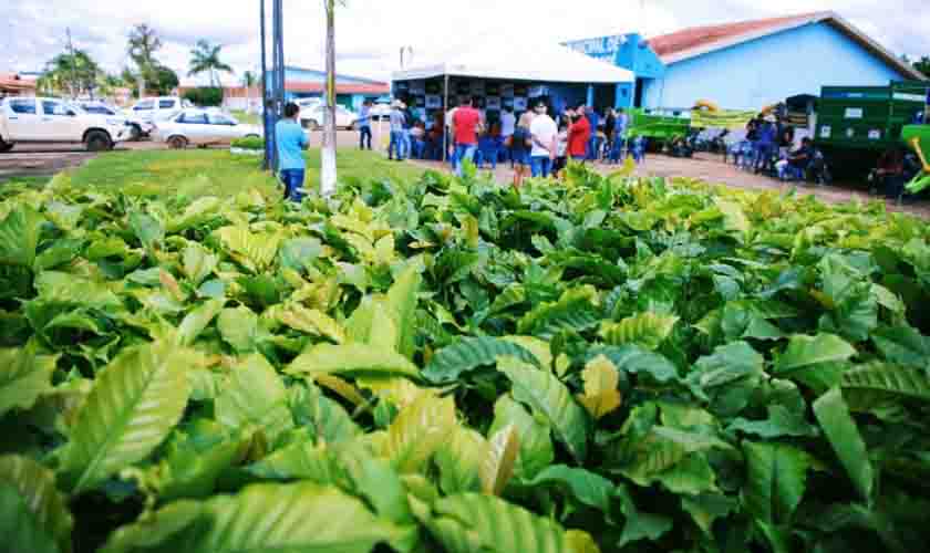 Programa “Plante Mais” garante mais de 700 mil mudas de café clonal e equipamentos agrícolas a produtores rurais do Vale do Guaporé