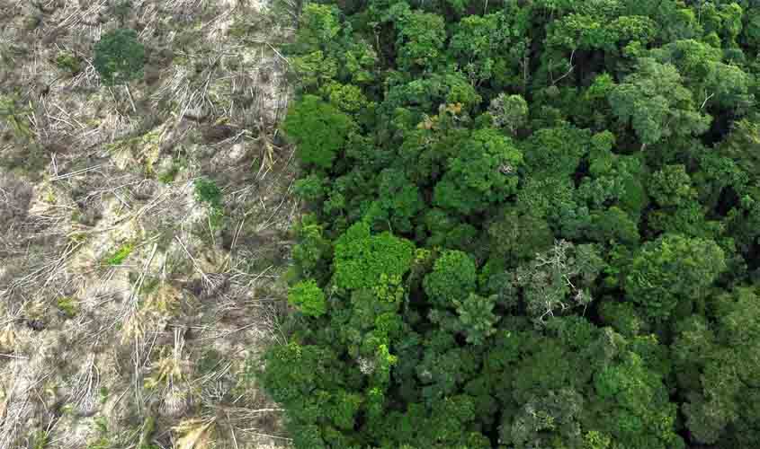 Dino dá prazo de 60 dias para Amazônia e Pantanal aderirem ao Sinaflor