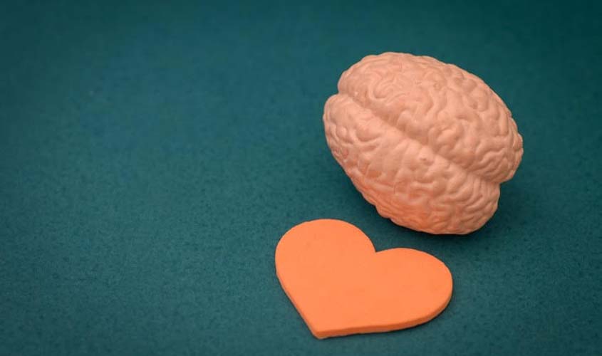 Nutrição auxilia na prevenção do declínio cognitivo