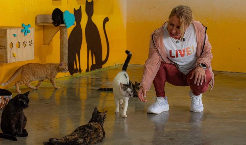 Ieda Chaves destina R$ 2,3 milhões à causa animal