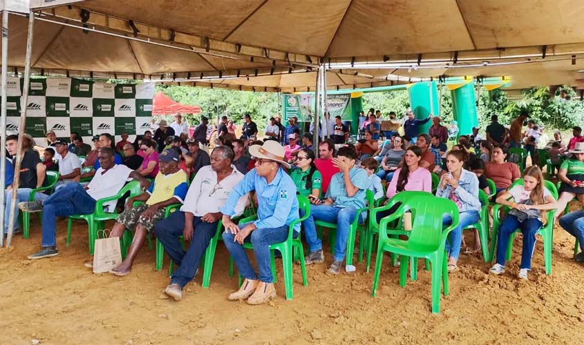 Tecnologia e manejo elevam padrão da cafeicultura em RO