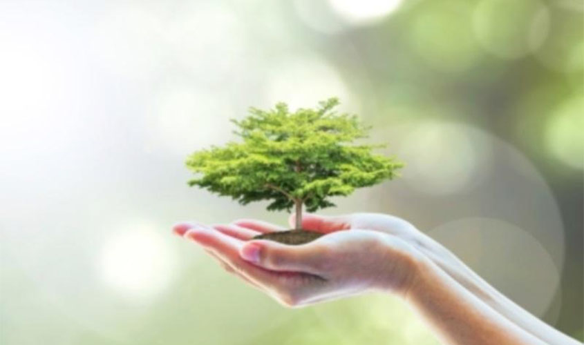 MPRO e MPF recomendam à PM que retome prestação de apoio a operações do Ibama e ICMBio 