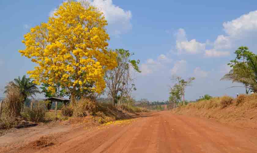 Parecis completa 27 anos se sustentando na economia agropecuária
