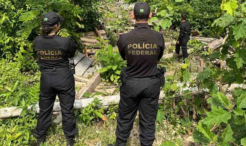 PF realiza ação contra crimes ambientais e de grilagem em RO