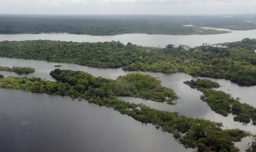 Ibama lança edital para contratar empresa que monitore desmatamento