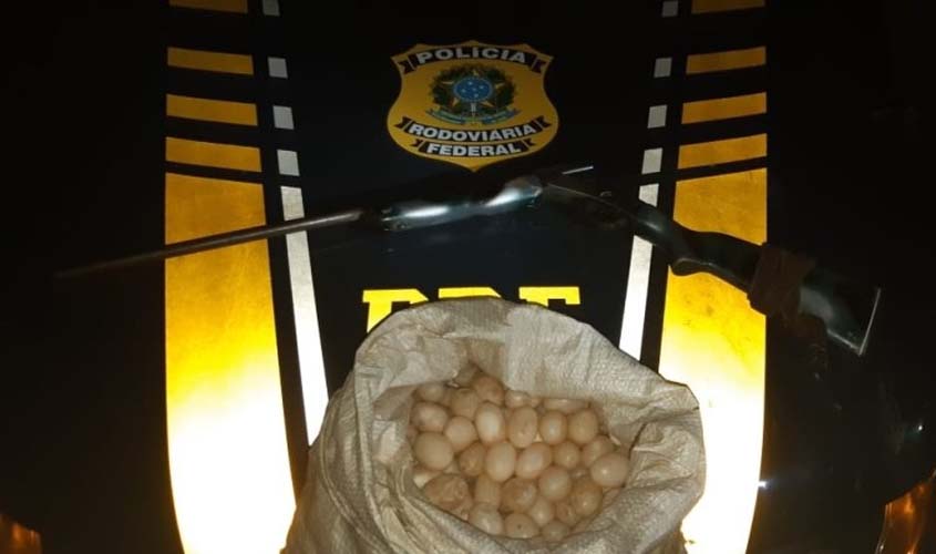 PRF realiza dois flagrantes de Crime Ambiental contra animais silvestres