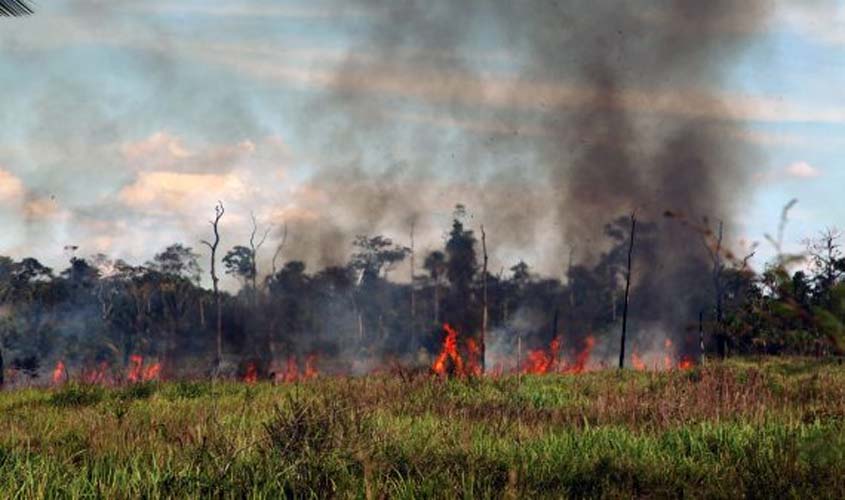 Cooperação visa fiscalização de desmatamento e incêndios em Rondônia