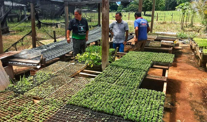Agricultores recebem incentivo para produção de hortaliças