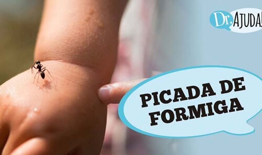 PICADA DE FORMIGA: o que fazer? Quando devo me preocupar?