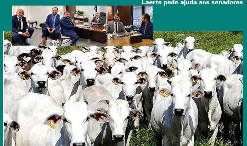 Pequenos e médios pecuaristas que fizeram empréstimos há três anos, não têm como pagar, pela queda no preço do boi