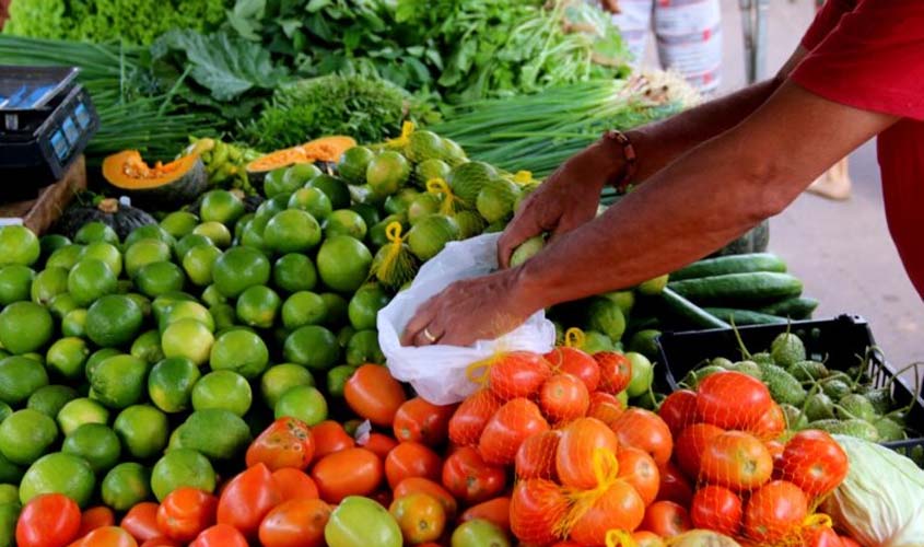 Deputada Cláudia de Jesus pede prorrogação do prazo do PAA