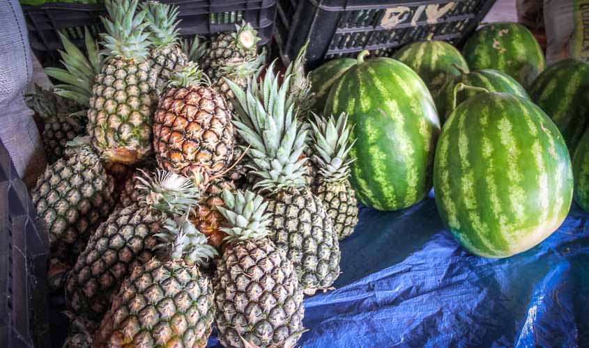 Governo e Arom discutem parcerias para facilitar atividades no campo e funcionamento das agroindústrias familiares