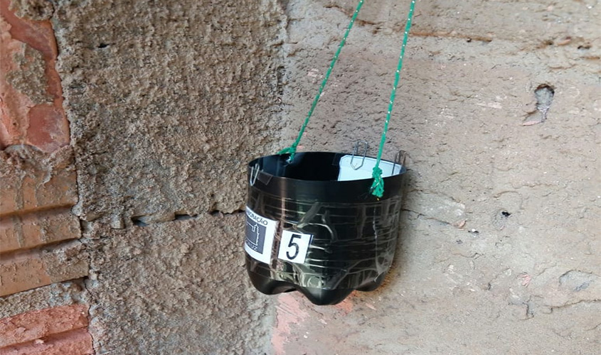 Aplicativo é utilizado na vigilância do mosquito Aedes aegypti