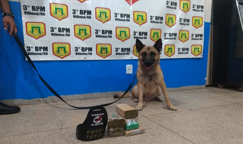 Operação da PMRO em rodovia de Colorado do Oeste apreende cerca de 3 quilos de drogas