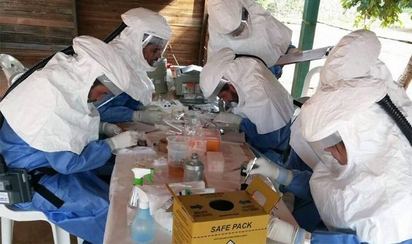 Febre hemorrágica faz primeira vítima em São Paulo